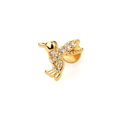 Labret con colibrì di pietre