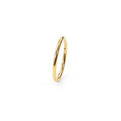 Cerchio con cerniera in titanio placcato oro 24K