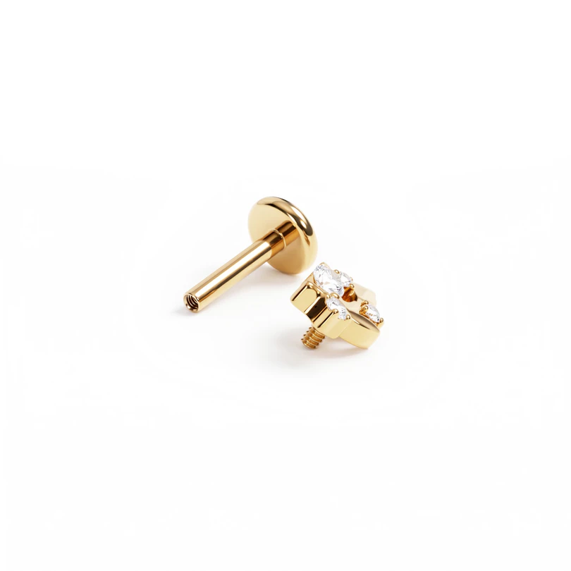 Labret in titanio con foglie e pietre