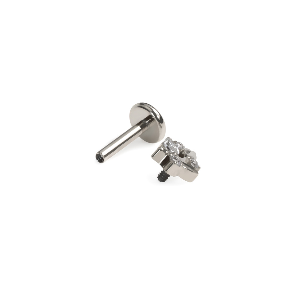 Labret in titanio con foglie e pietre