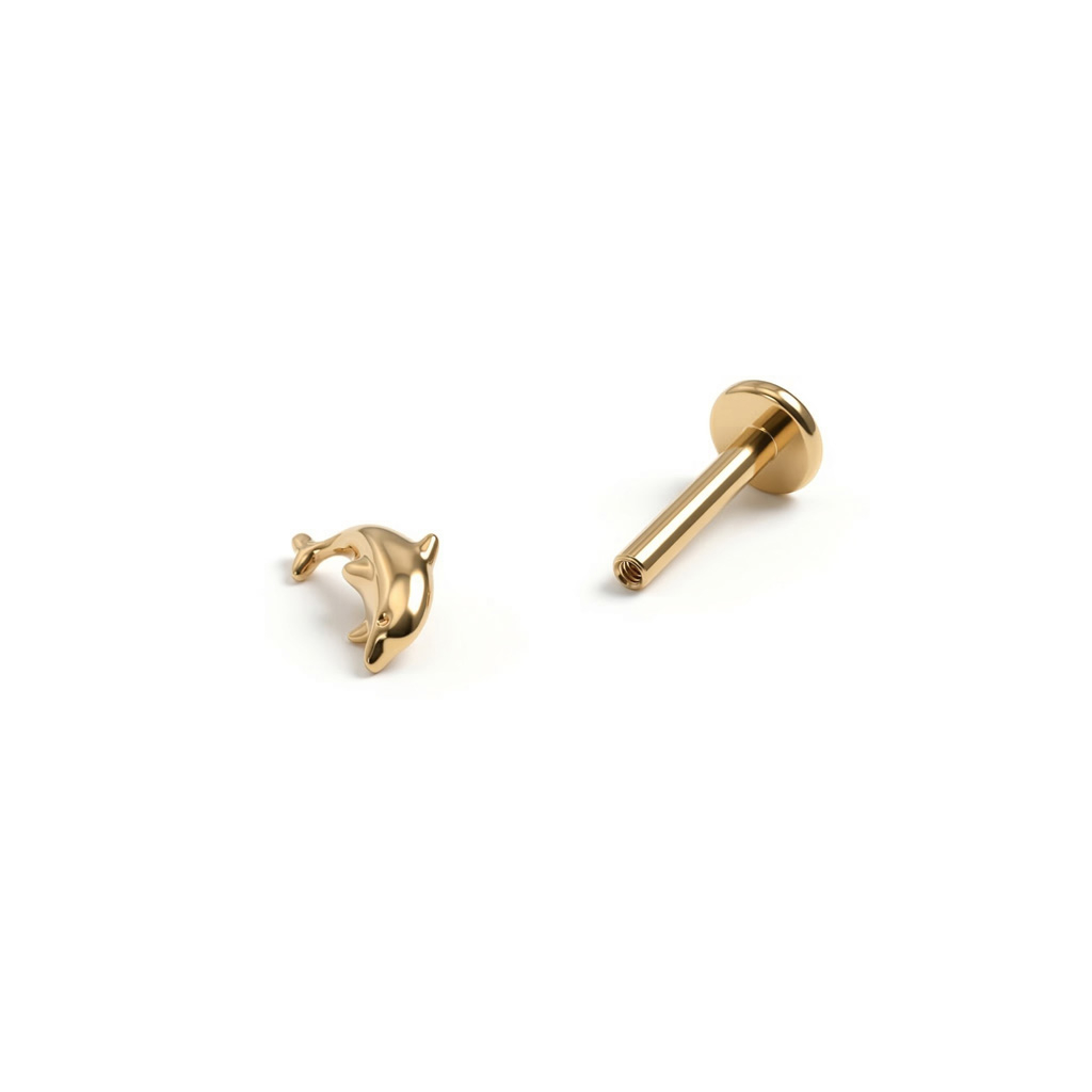 Labret in titanio con delfino