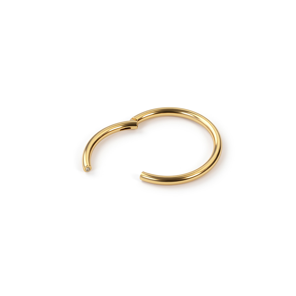 Cerchio con cerniera in titanio placcato oro 24K