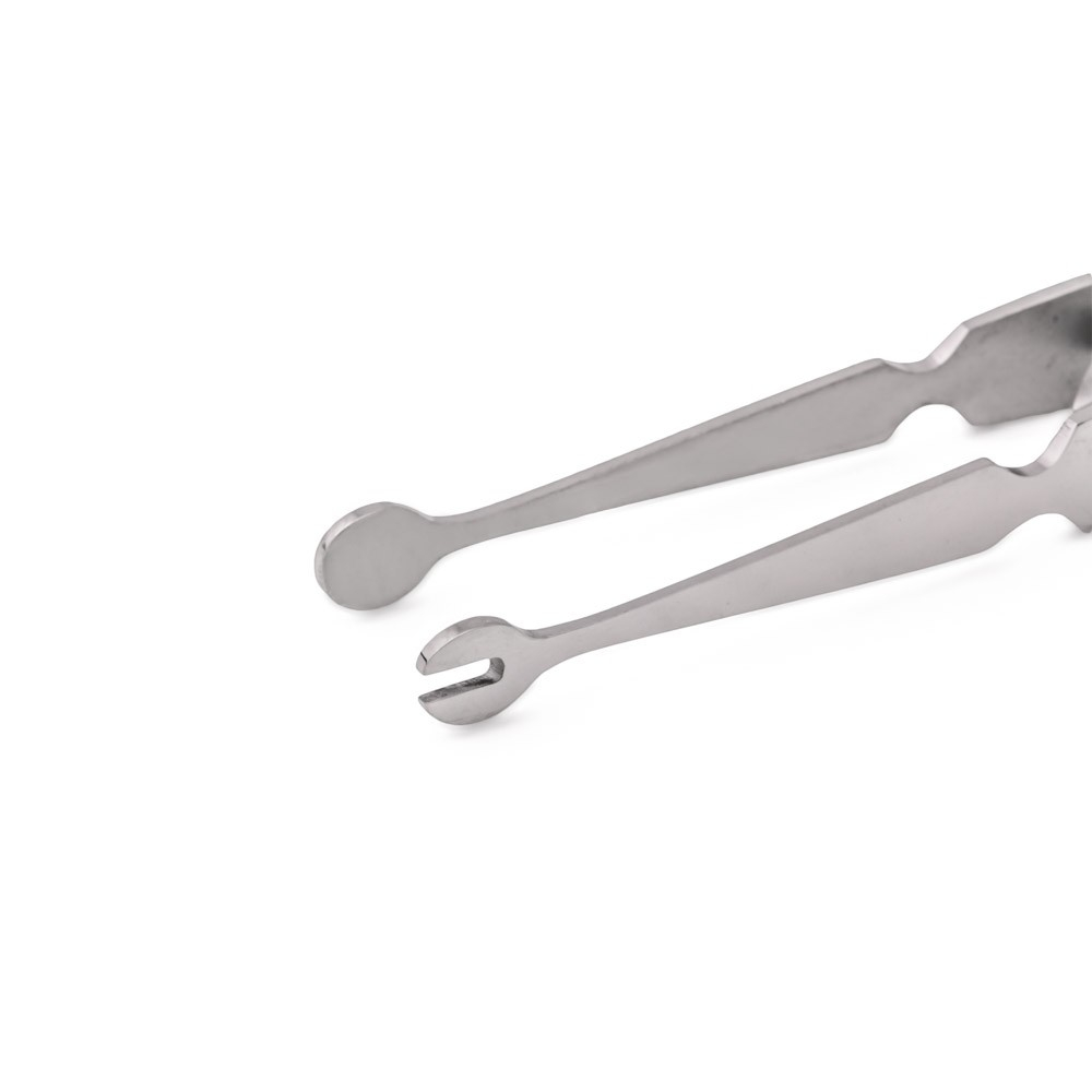Pinze per labret