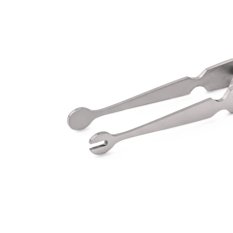 Pinze per labret